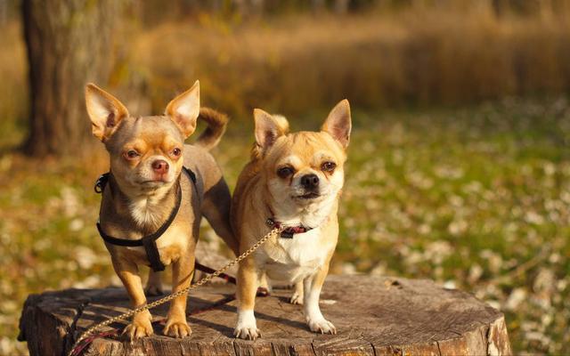 20221110213337_22025 20221110213337_22025