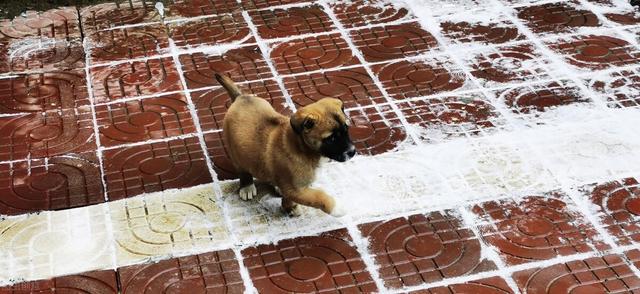 20221110215307_62370