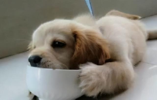 20221110215732_81197