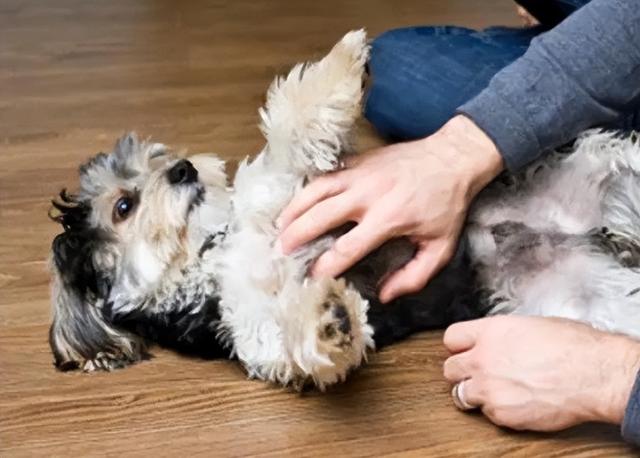 20221110215733_71106