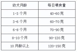 狗狗肚子硬硬的鼓鼓的怎么办(狗狗不吃饭肚子硬硬的鼓鼓的)-警犬训练器材厂家 _警犬训练用品_工作犬训练用品-南京开久警犬装备
