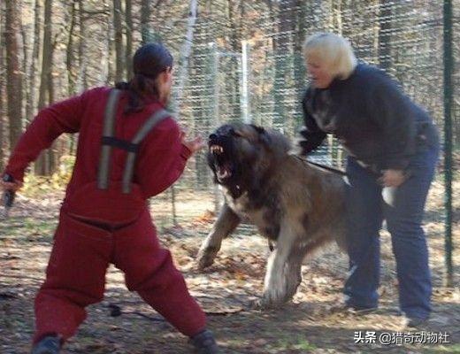 20221111085046_27301