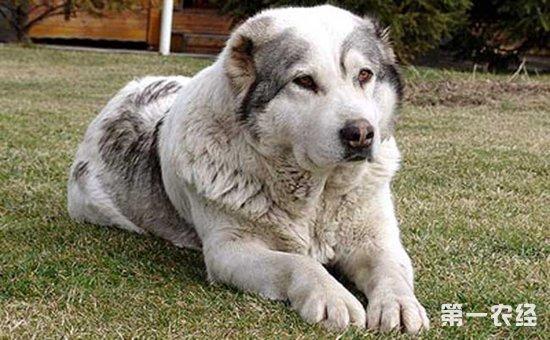 20221111092054_99562