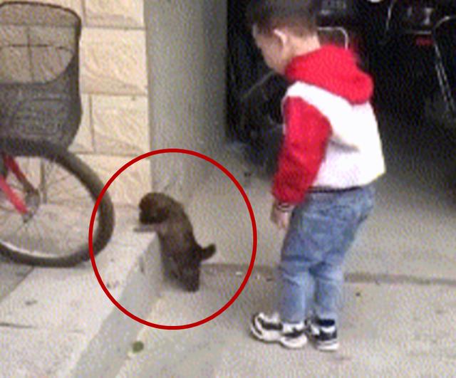 20221111092433_78895