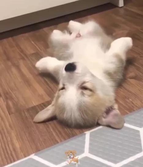 20221111095727_78105