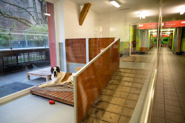 20221111101508_66687