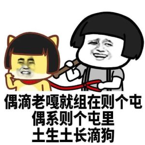 我不会就这样轻易的狗带(我不会就这样轻易的狗带原版)-警犬训练器材厂家 _警犬训练用品_工作犬训练用品-南京开久警犬装备