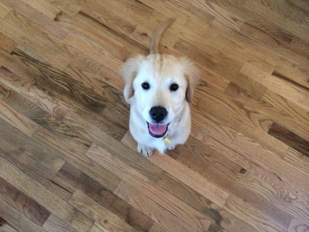 20221111110037_27065