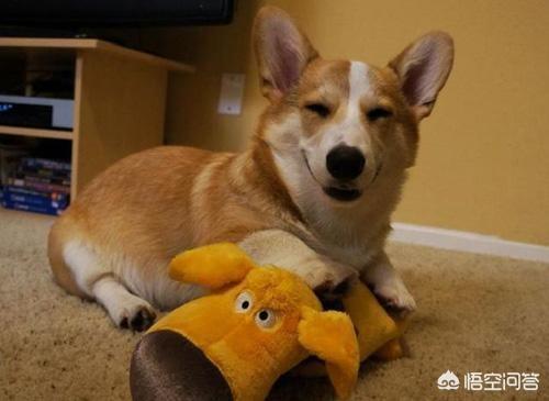 20221111111502_52939