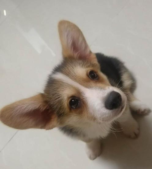 20221111111503_99213