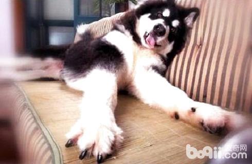 20221111121609_14913