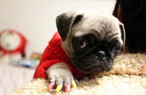 20221111121609_22489