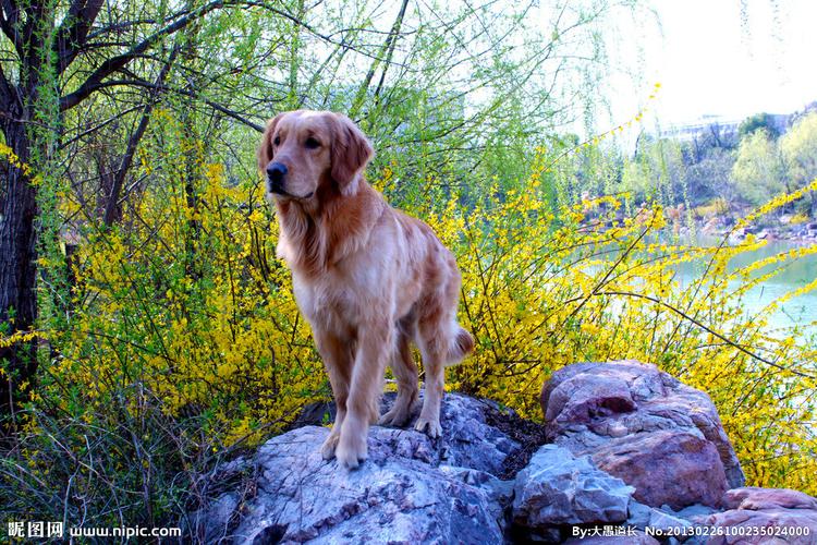 20221111121919_12760 20221111121919_12760