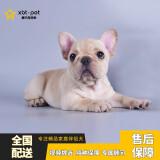 广州酷毕犬舍(广州cku犬舍)-警犬训练器材厂家 _警犬训练用品_工作犬训练用品-南京开久警犬装备