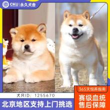 20221111123239_85712