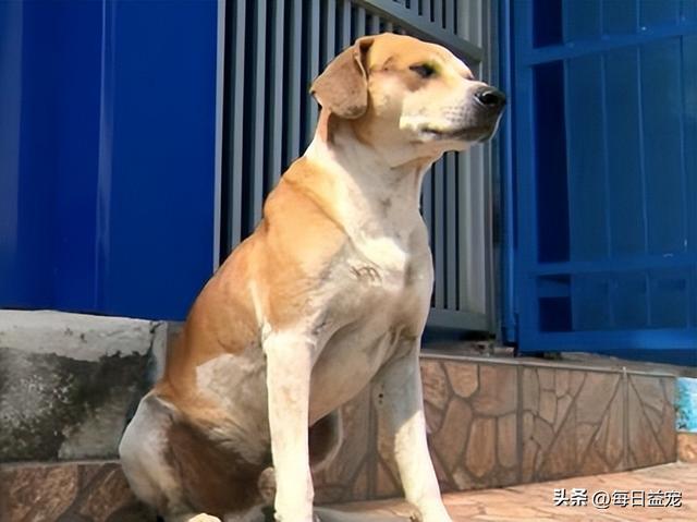 20221111123342_25470