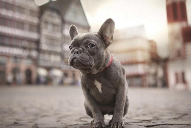 20221111130041_72222