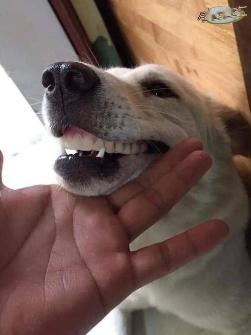 20221111131823_61089 20221111131823_61089