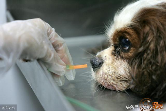 20221111131823_75844 20221111131823_75844