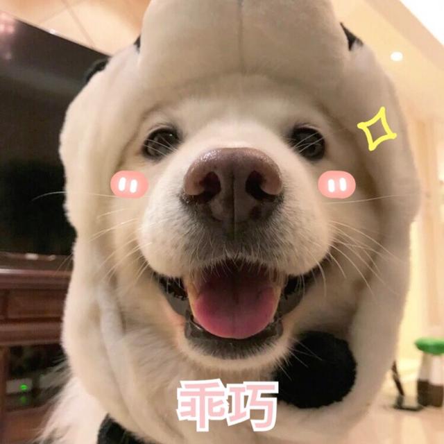 20221111132115_30851 20221111132115_30851