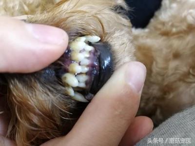 20221111134153_61342 20221111134153_61342