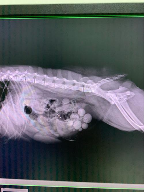 20221111134153_87066 20221111134153_87066