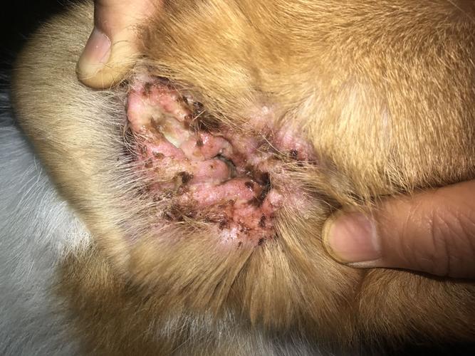 20221111134417_19055 20221111134417_19055