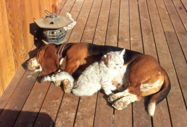 20221111134752_58757