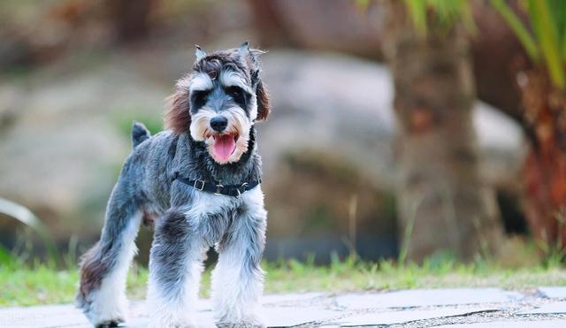 20221111141001_84358