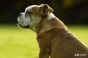 20221111142242_81405