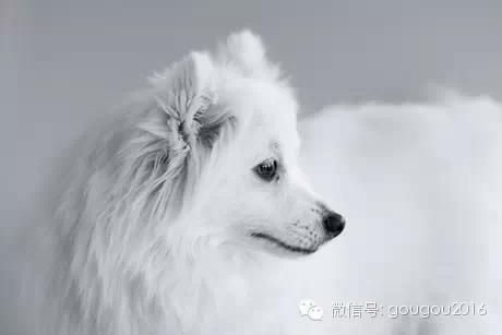 20221111150156_22037