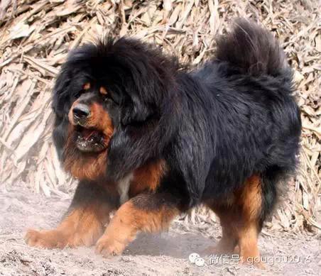 20221111150156_60211