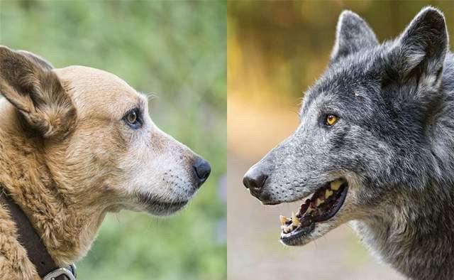 20221111150944_40782