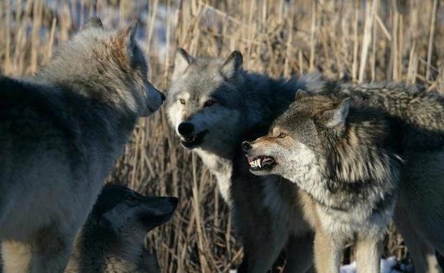 20221111150944_78342 20221111150944_78342