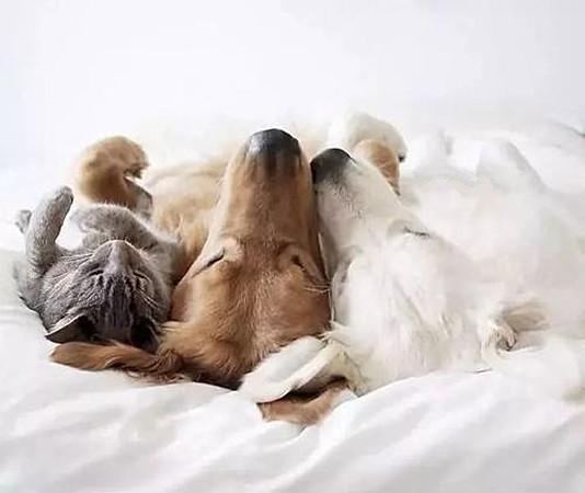 20221111165544_27853 20221111165544_27853