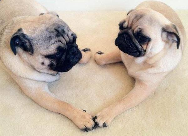 20221111170305_39593