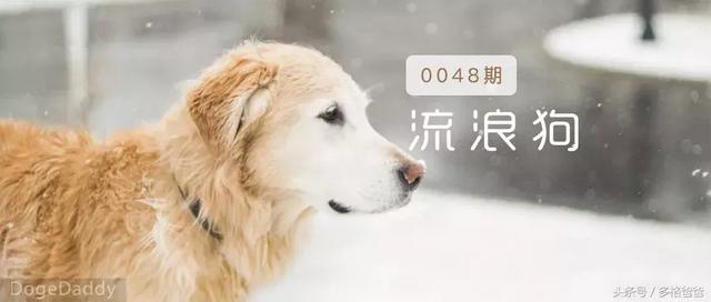 20221111171252_50259