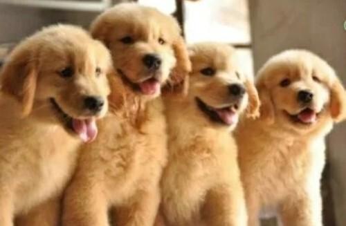 20221111171656_82075