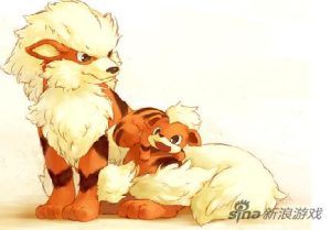 口袋妖怪魂银风速狗配招(口袋妖怪火红风速狗技能表)-警犬训练器材厂家 _警犬训练用品_工作犬训练用品-南京开久警犬装备