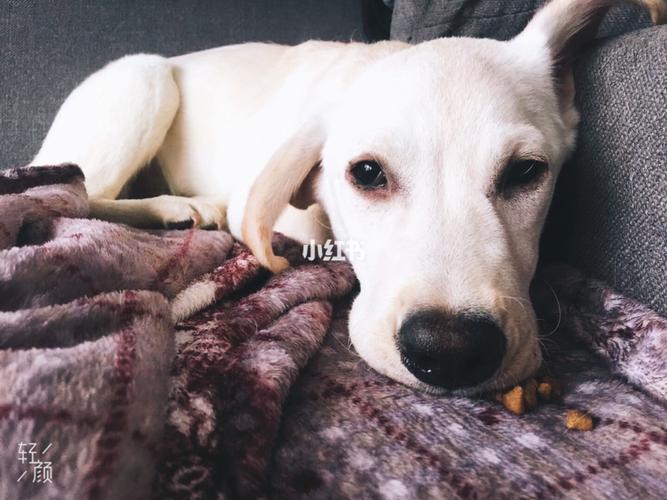 20221111181211_11825