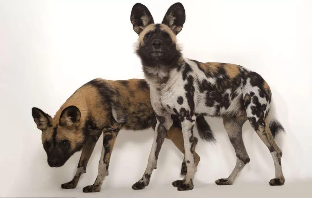 20221111183039_49407 20221111183039_49407