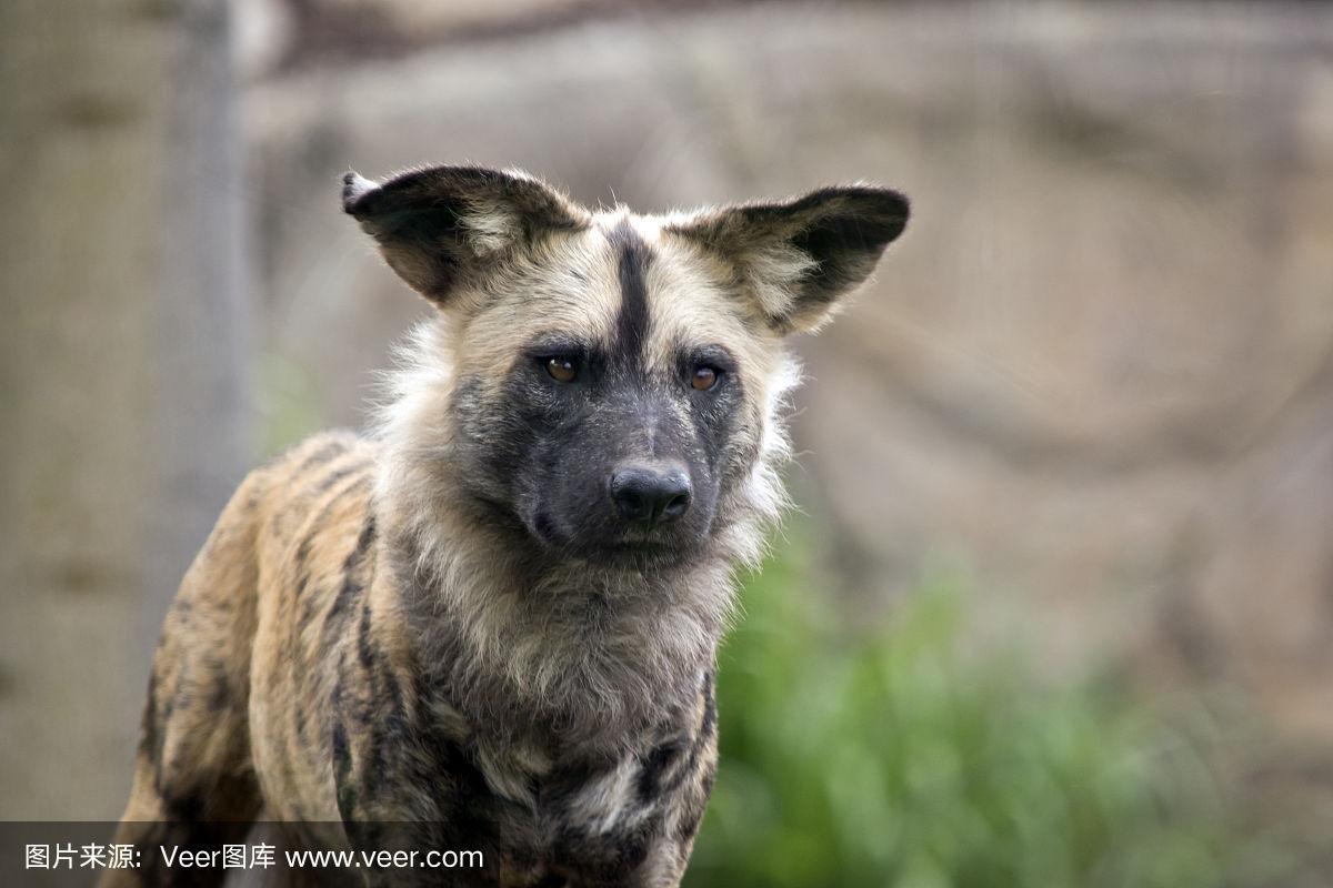 20221111183040_41533 20221111183040_41533