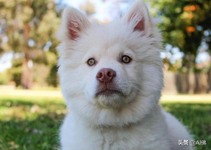 20221111183556_59856 20221111183556_59856