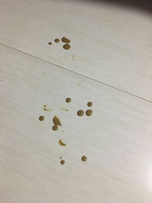 萌犬便便稀怎么办？宝宝便便有点稀怎么办 - 警犬训练器材厂家 _警犬训练用品_工作犬训练用品-南京开久警犬装备-警犬训练器材厂家 _警犬训练用品_工作犬训练用品-南京开久警犬装备