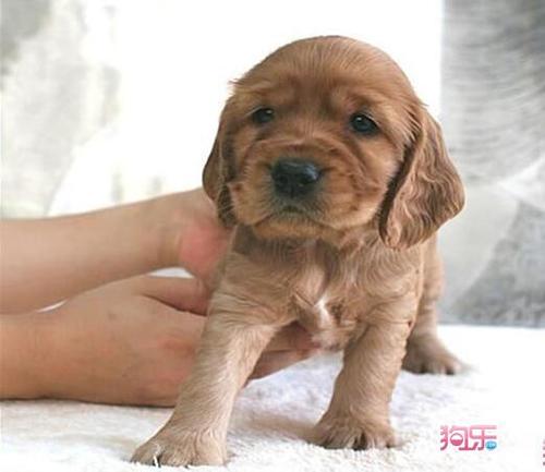 20221111200914_83566