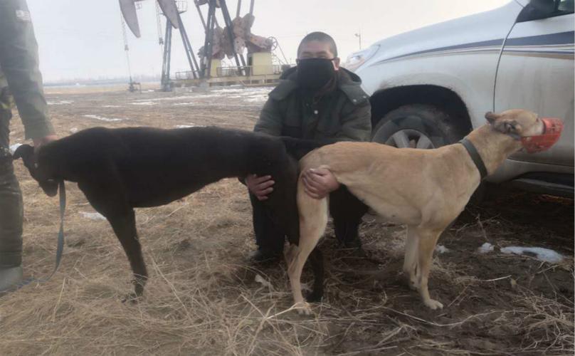 20221111201948_55876 20221111201948_55876