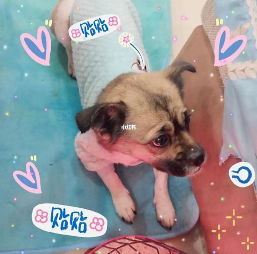 20221111202535_65271