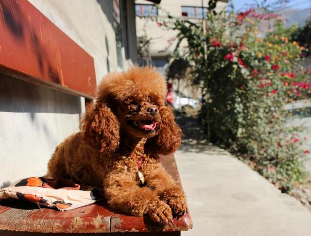 20221111203114_39932