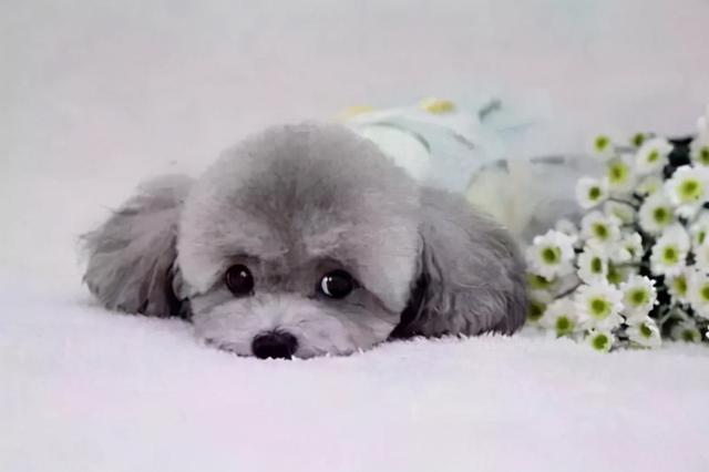 20221111203114_63763