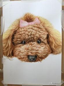 20221111205043_82152